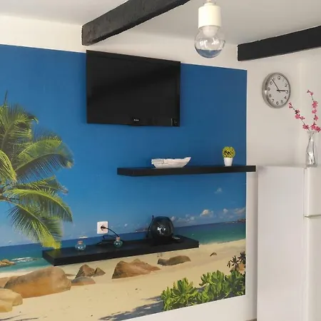 Апартаменты Ayla *